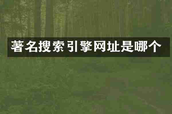 著名搜索引擎网址是哪个
