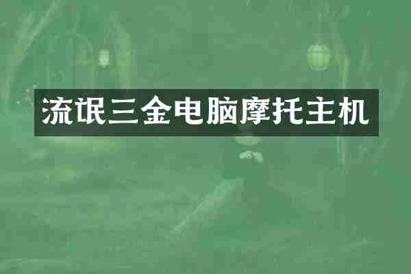 流氓三金电脑摩托主机