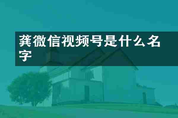 龚玥微信视频号是什么名字