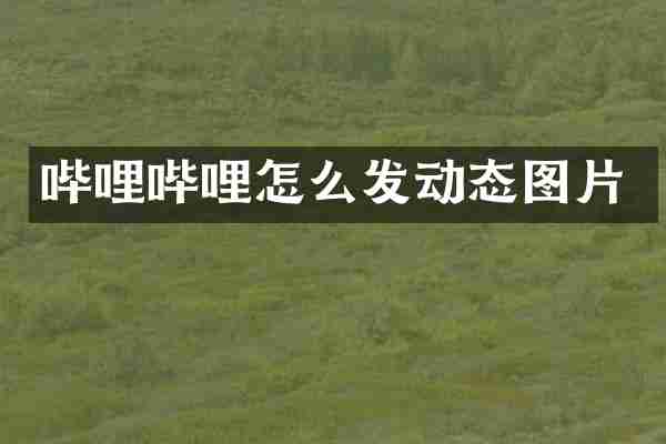 哔哩哔哩怎么发动态图片