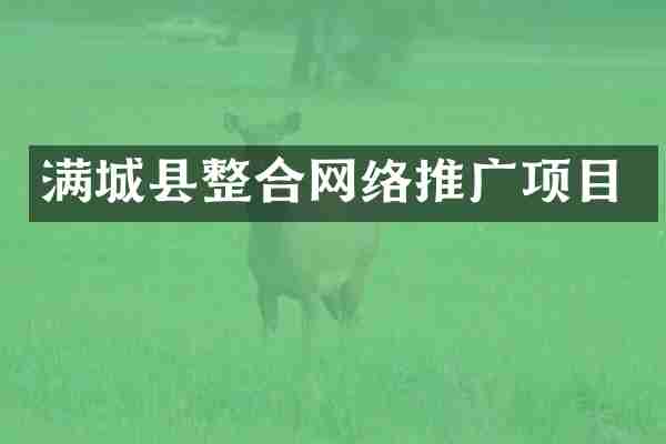满城县整合网络推广项目