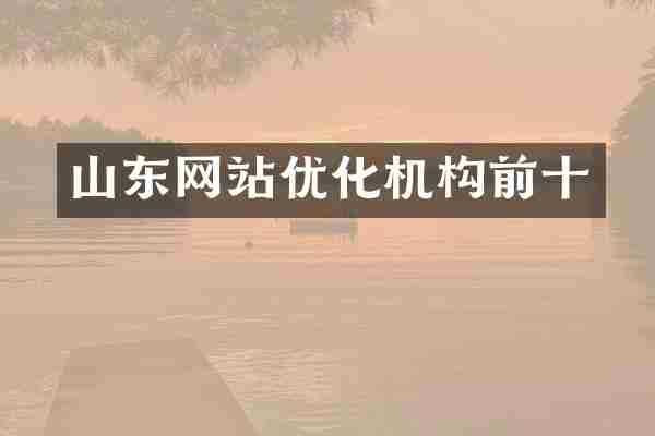 山东网站优化机构前十