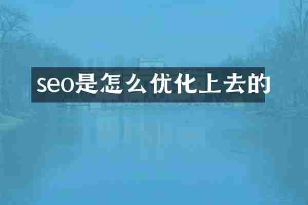 seo是怎么优化上去的