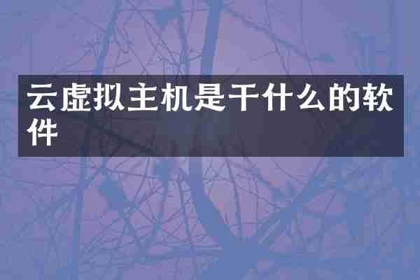 云虚拟主机是干什么的软件