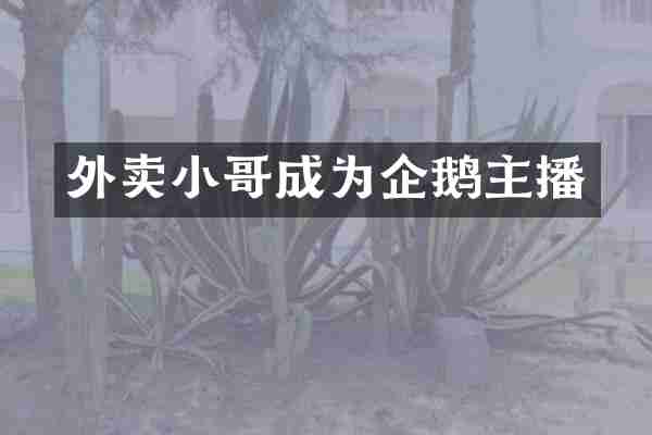 外卖小哥成为企鹅主播