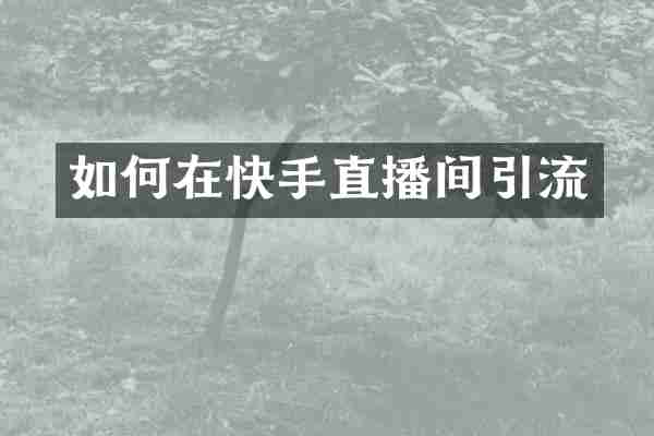 如何在快手直播间引流