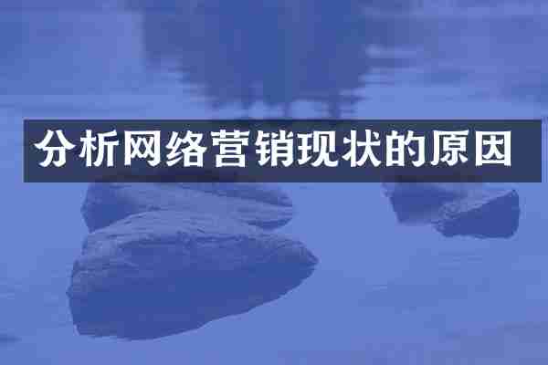 分析网络营销现状的原因