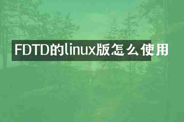 FDTD的linux版怎么使用