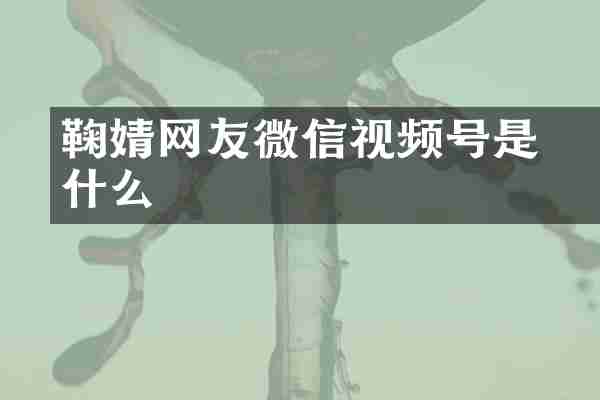 鞠婧祎网友微信视频号是什么