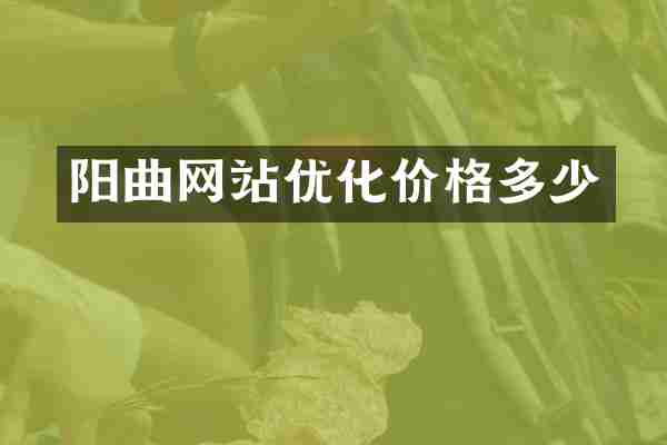 阳曲网站优化价格多少