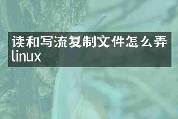 读和写流复制文件怎么弄linux