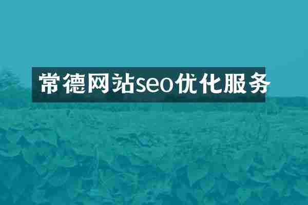 常德网站seo优化服务