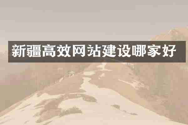 新疆高效网站建设哪家好