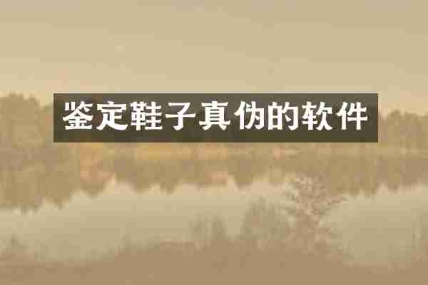 鉴定鞋子真伪的软件