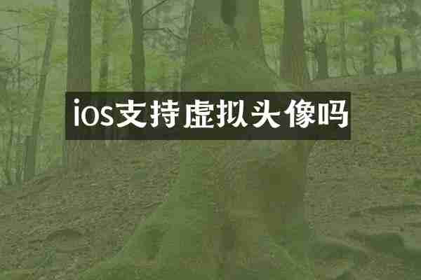 ios支持虚拟头像吗