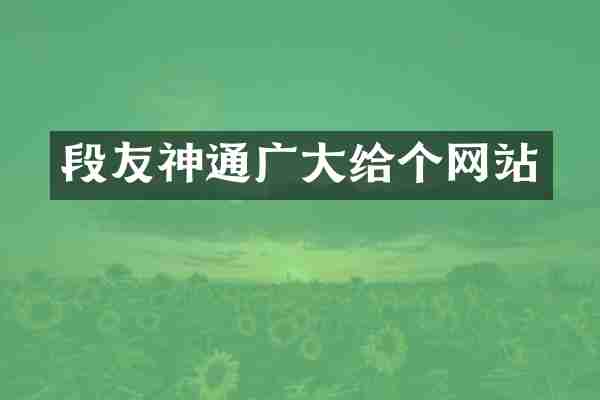 段友神通广大给个网站