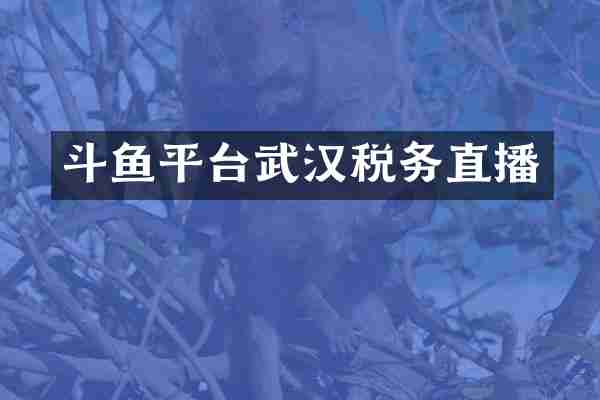 斗鱼平台武汉税务直播