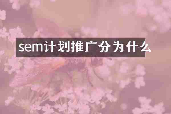 sem计划推广分为什么