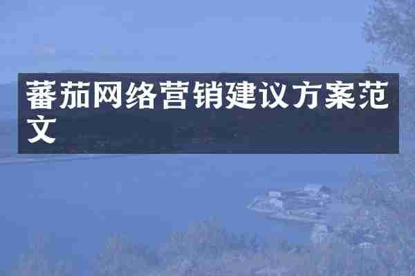 蕃茄网络营销建议方案范文