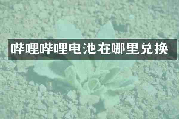 哔哩哔哩电池在哪里兑换