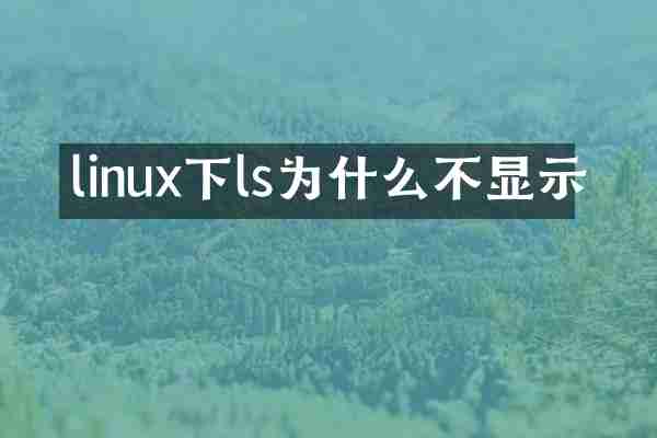 linux下ls为什么不显示