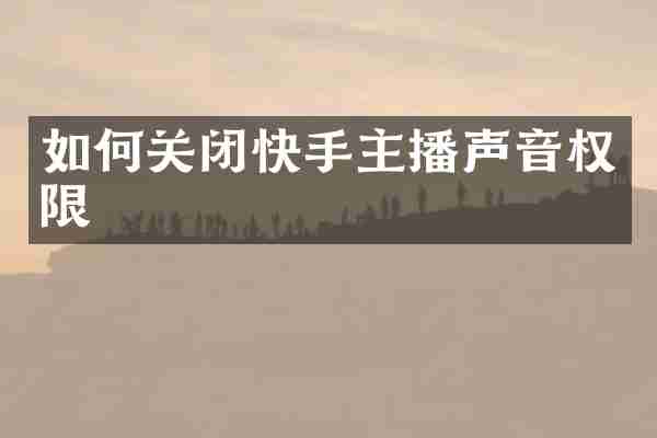 如何关闭快手主播声音权限