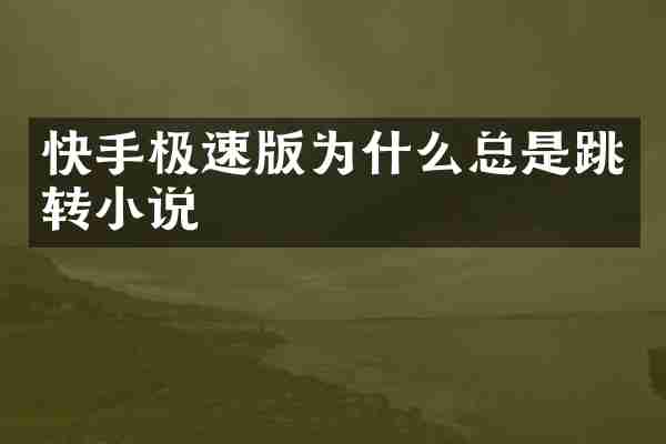 快手极速版为什么总是跳转小说
