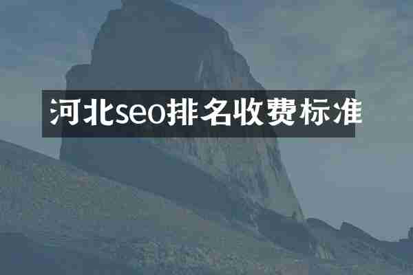 河北seo排名收费标准