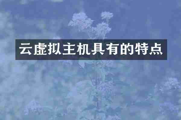 云虚拟主机具有的特点