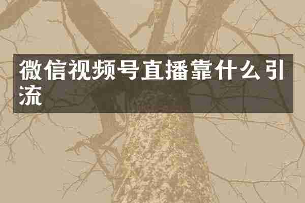 微信视频号直播靠什么引流