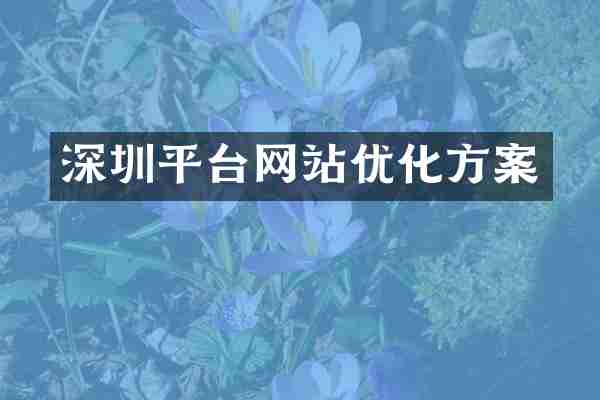 深圳平台网站优化方案