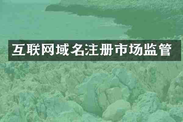 互联网域名注册市场监管