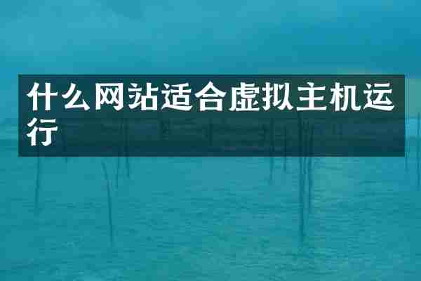 什么网站适合虚拟主机运行