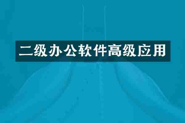 二级办公软件高级应用