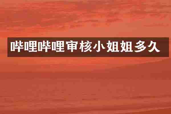 哔哩哔哩审核小姐姐多久