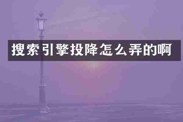 搜索引擎投降怎么弄的啊