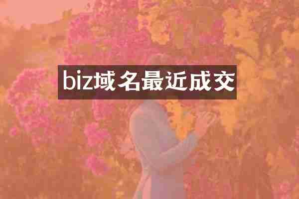 biz域名最近成交