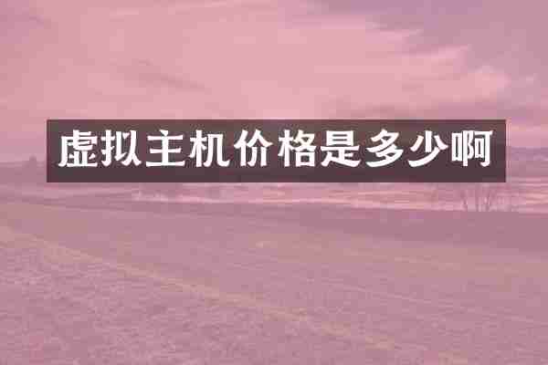 虚拟主机价格是多少啊