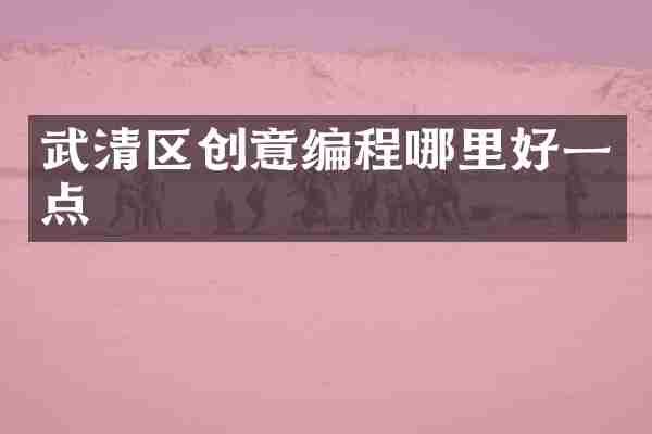 武清区创意编程哪里好一点