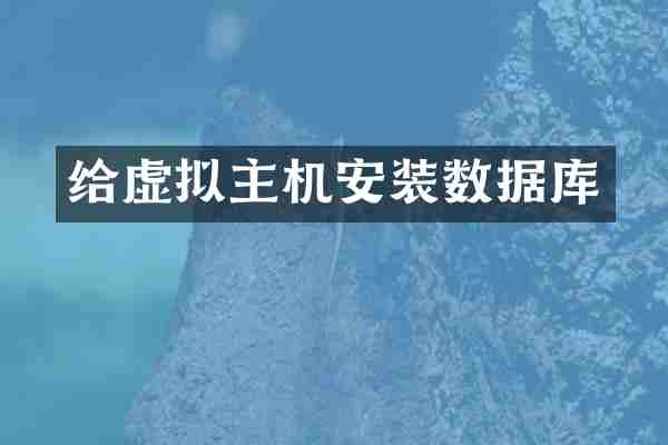 给虚拟主机安装数据库