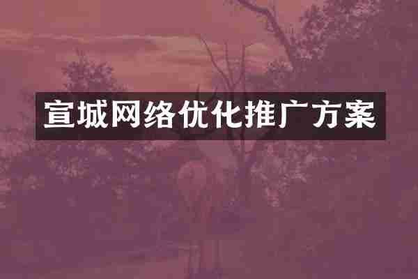 宣城网络优化推广方案