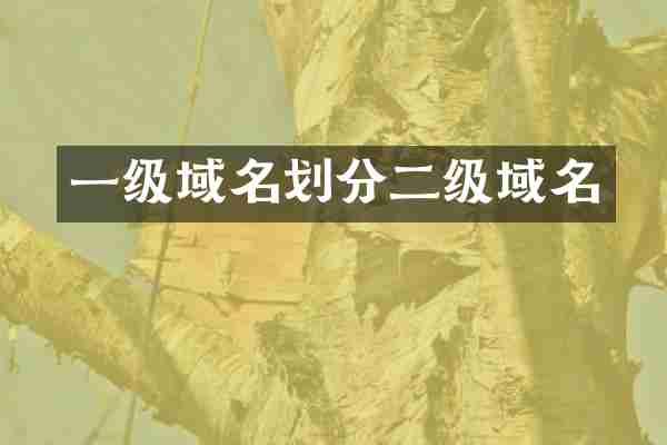 一级域名划分二级域名
