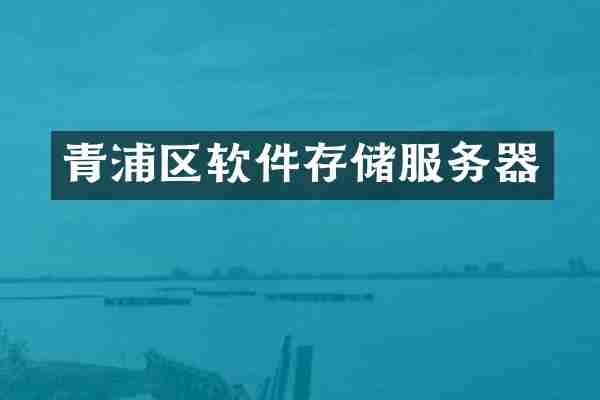 青浦区软件存储服务器