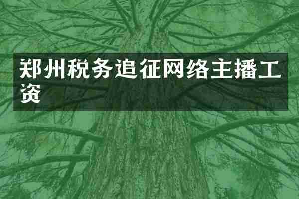 郑州税务追征网络主播工资