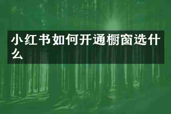 小红书如何开通橱窗选什么
