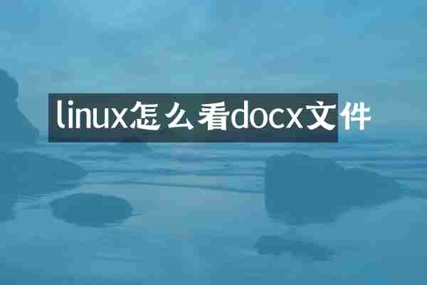 linux怎么看docx文件