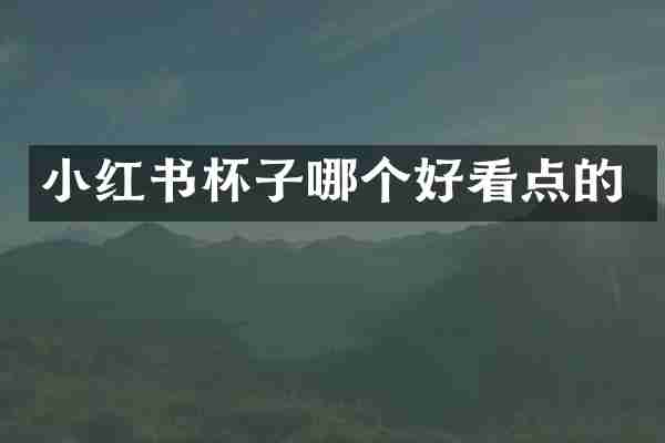 小红书杯子哪个好看点的