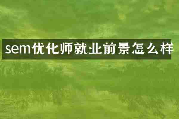 sem优化师就业前景怎么样