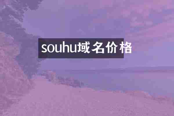 souhu域名价格