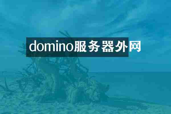 domino服务器外网